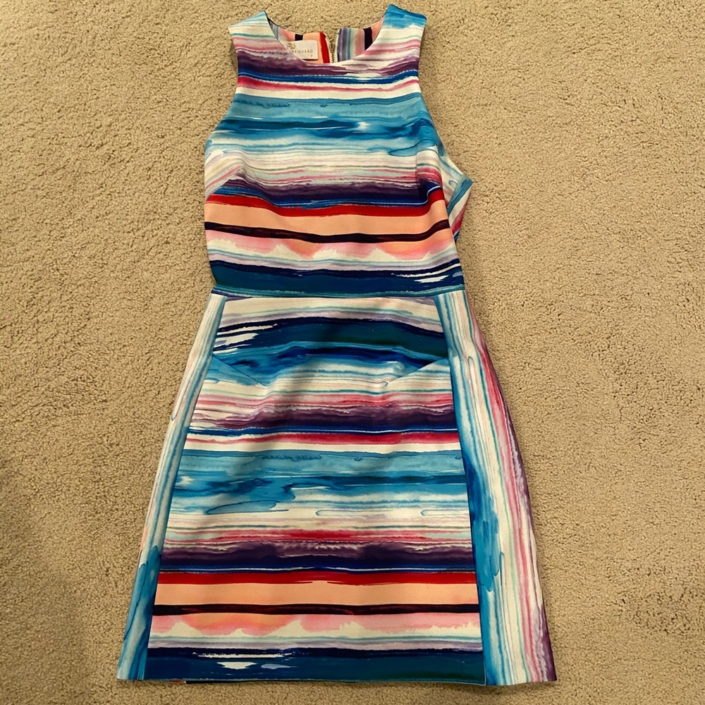 Amanda UpRichard stretchy dress